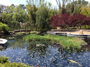 Zen Garden-Jacksonville Zoo