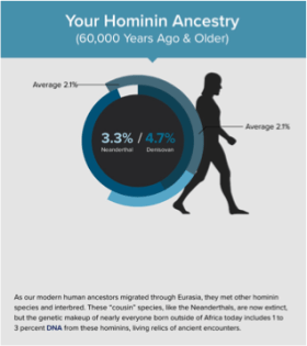 Hominin Ancestry