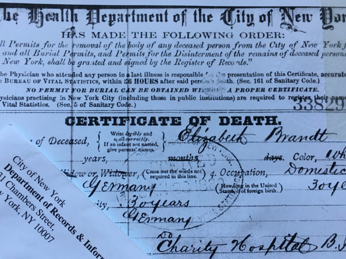 The Orphan in My Family Tree, Part&nbsp;6